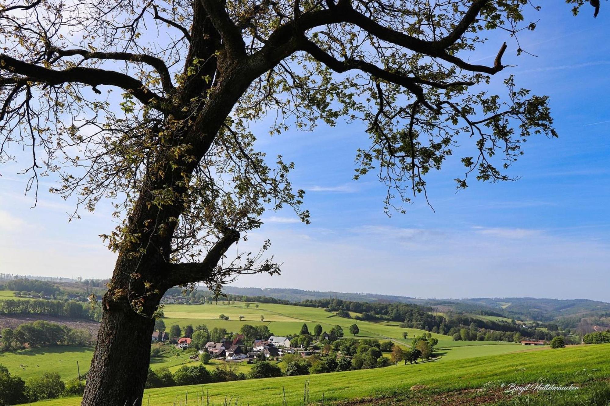 Vedders Berghuette Villa Herscheid Buitenkant foto